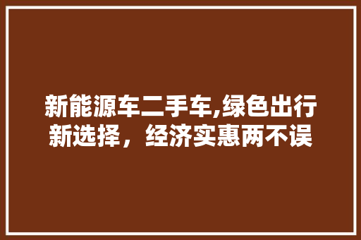 新能源车二手车,绿色出行新选择，经济实惠两不误