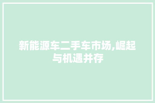 新能源车二手车市场,崛起与机遇并存