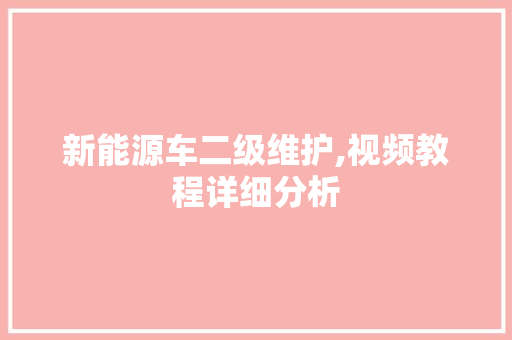 新能源车二级维护,视频教程详细分析
