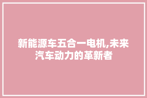 新能源车五合一电机,未来汽车动力的革新者