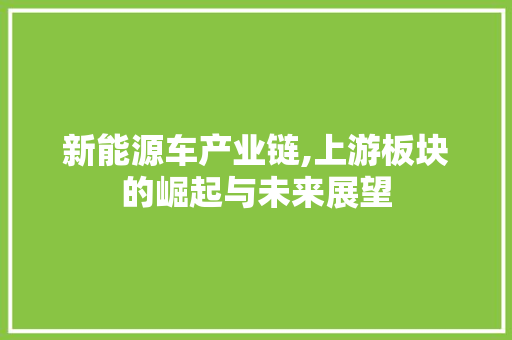 新能源车产业链,上游板块的崛起与未来展望