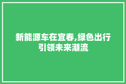 新能源车在宜春,绿色出行引领未来潮流
