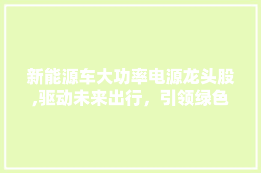 新能源车大功率电源龙头股,驱动未来出行，引领绿色革命