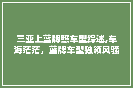 三亚上蓝牌照车型综述,车海茫茫，蓝牌车型独领风骚