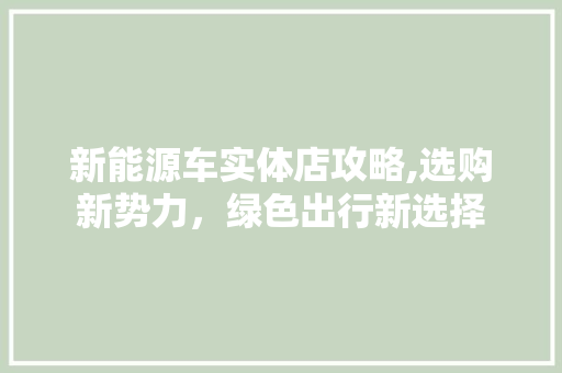 新能源车实体店攻略,选购新势力，绿色出行新选择