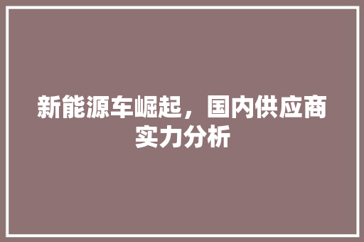新能源车崛起，国内供应商实力分析
