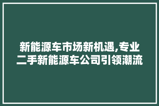 新能源车市场新机遇,专业二手新能源车公司引领潮流