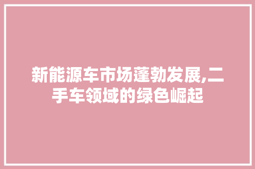 新能源车市场蓬勃发展,二手车领域的绿色崛起