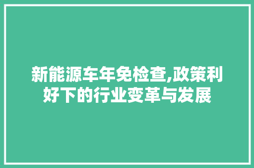 新能源车年免检查,政策利好下的行业变革与发展