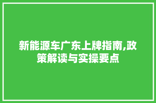 新能源车广东上牌指南,政策解读与实操要点