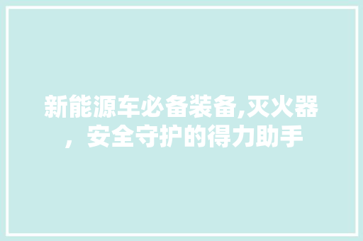 新能源车必备装备,灭火器，安全守护的得力助手 混合动力车