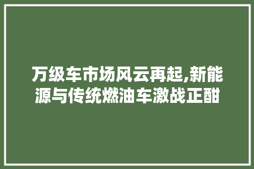 万级车市场风云再起,新能源与传统燃油车激战正酣