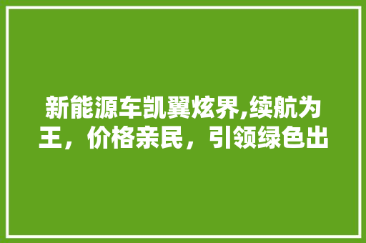 新能源车凯翼炫界,续航为王，价格亲民，引领绿色出行新潮流