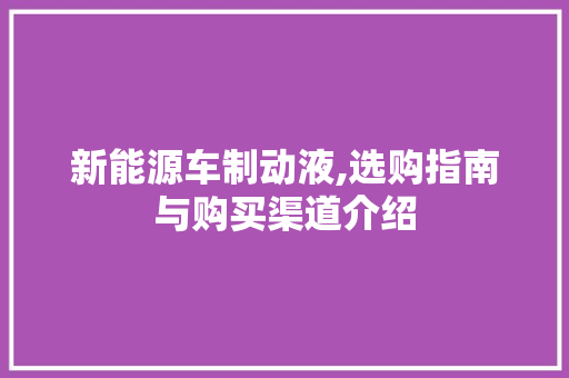 新能源车制动液,选购指南与购买渠道介绍