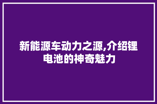 新能源车动力之源,介绍锂电池的神奇魅力