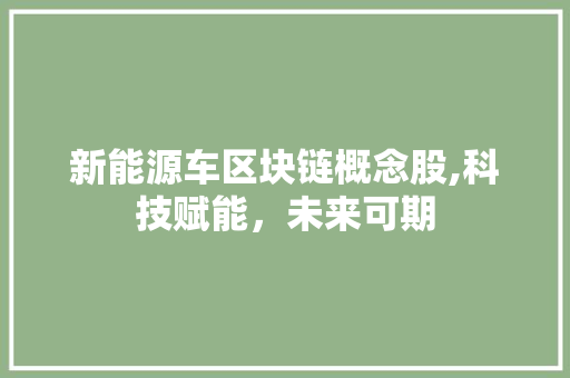 新能源车区块链概念股,科技赋能，未来可期