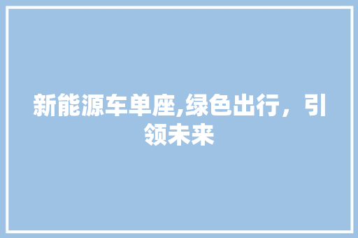 新能源车单座,绿色出行，引领未来