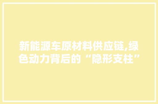 新能源车原材料供应链,绿色动力背后的“隐形支柱”