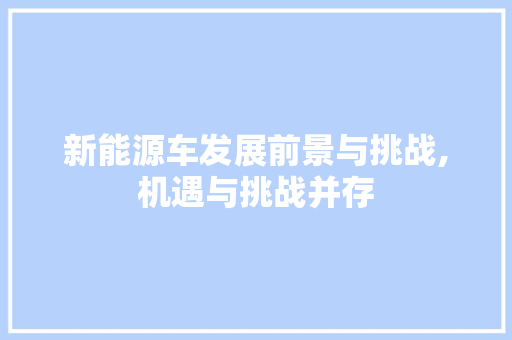 新能源车发展前景与挑战,机遇与挑战并存