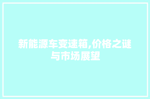 新能源车变速箱,价格之谜与市场展望