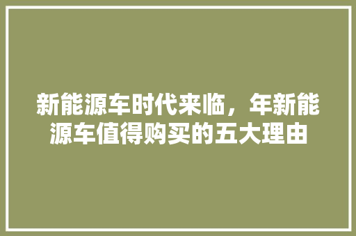 新能源车时代来临，年新能源车值得购买的五大理由 车载导航