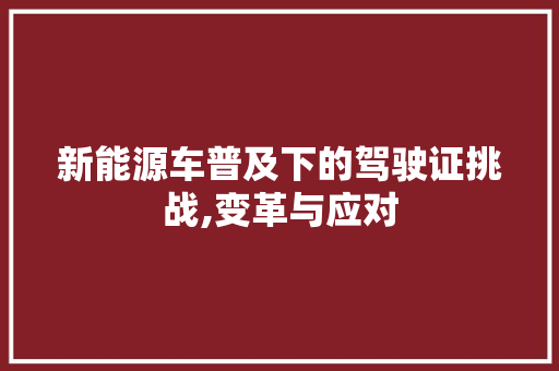 新能源车普及下的驾驶证挑战,变革与应对