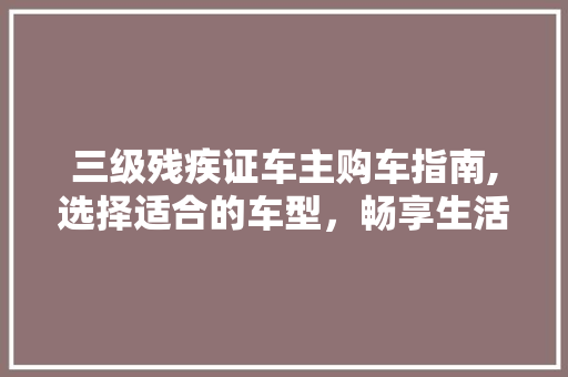 三级残疾证车主购车指南,选择适合的车型，畅享生活新篇章