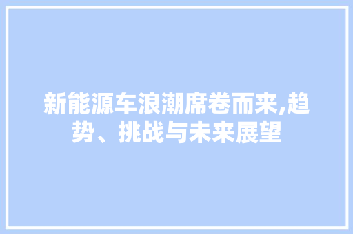 新能源车浪潮席卷而来,趋势、挑战与未来展望