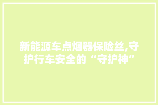 新能源车点烟器保险丝,守护行车安全的“守护神” 新车资讯