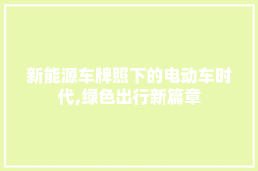 新能源车牌照下的电动车时代,绿色出行新篇章