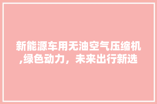 新能源车用无油空气压缩机,绿色动力，未来出行新选择 汽车轮胎
