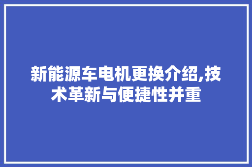 新能源车电机更换介绍,技术革新与便捷性并重