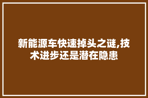 新能源车快速掉头之谜,技术进步还是潜在隐患