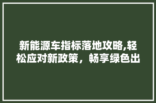 新能源车指标落地攻略,轻松应对新政策，畅享绿色出行