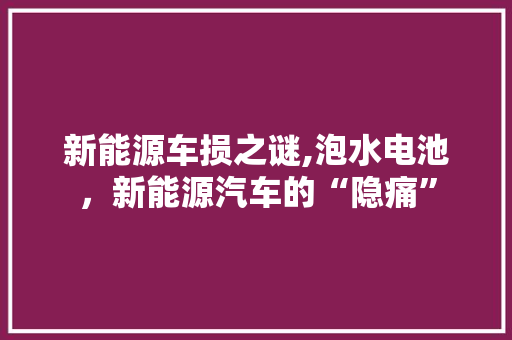 新能源车损之谜,泡水电池，新能源汽车的“隐痛”