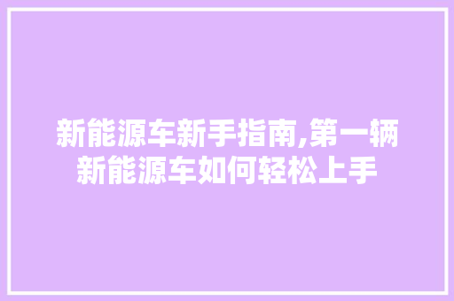 新能源车新手指南,第一辆新能源车如何轻松上手