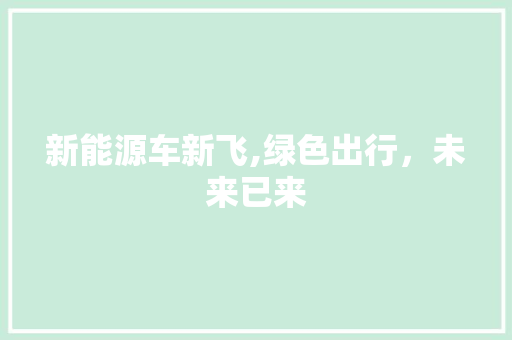 新能源车新飞,绿色出行，未来已来