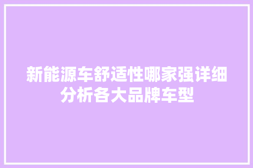 新能源车舒适性哪家强详细分析各大品牌车型