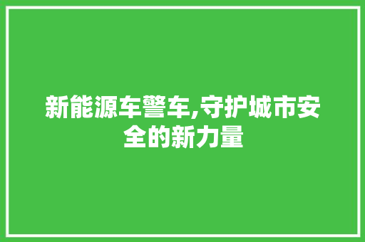新能源车警车,守护城市安全的新力量