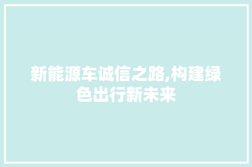 新能源车诚信之路,构建绿色出行新未来