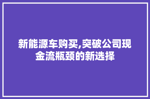 新能源车购买,突破公司现金流瓶颈的新选择