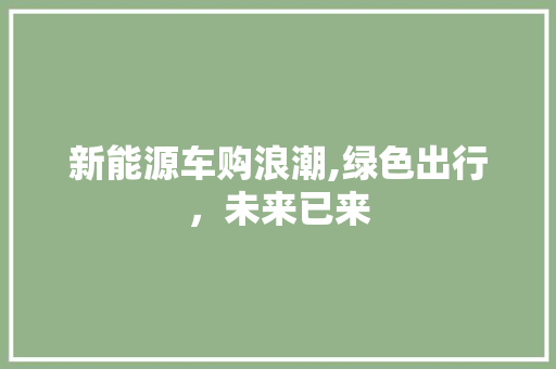 新能源车购浪潮,绿色出行，未来已来 车联网技术