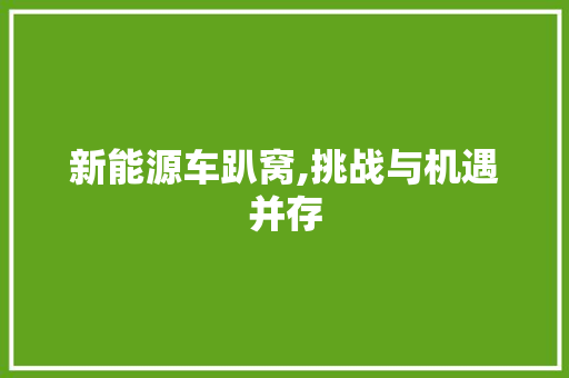 新能源车趴窝,挑战与机遇并存