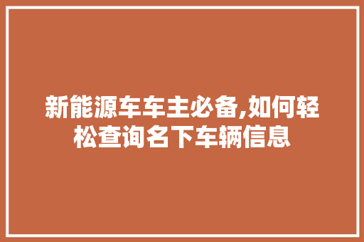 新能源车车主必备,如何轻松查询名下车辆信息