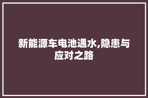 新能源车电池遇水,隐患与应对之路 车型评测