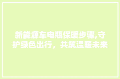 新能源车电瓶保暖步骤,守护绿色出行，共筑温暖未来