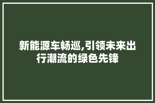 新能源车畅巡,引领未来出行潮流的绿色先锋 汽车保养