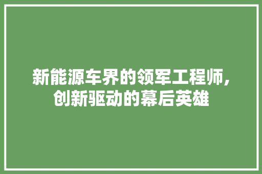 新能源车界的领军工程师,创新驱动的幕后英雄