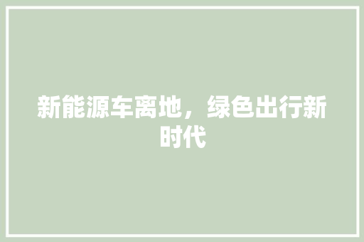 新能源车离地，绿色出行新时代 汽车展览