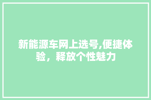 新能源车网上选号,便捷体验，释放个性魅力